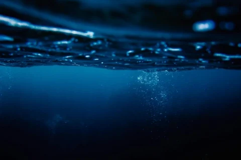 Criatura bizarra no fundo do oceano vai te deixar de boca aberta